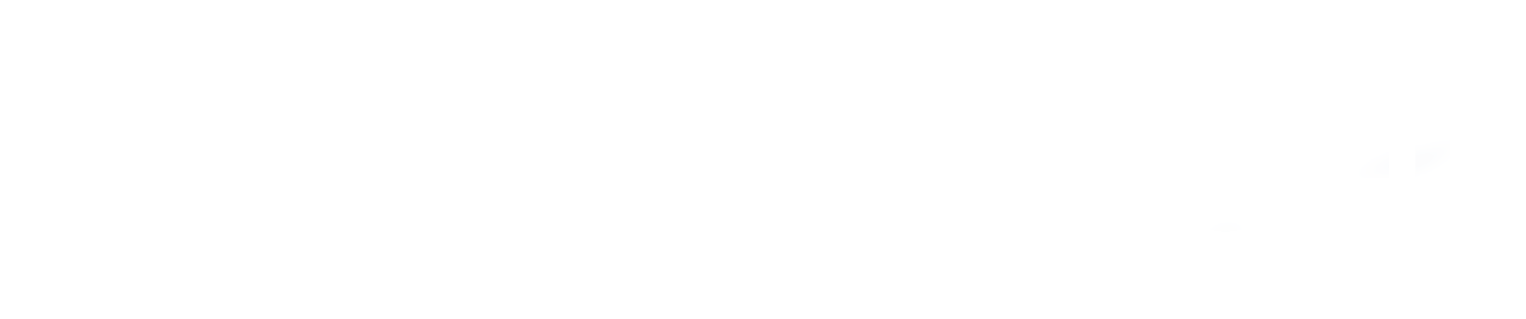 LUCHSINGER bianco senza payoff